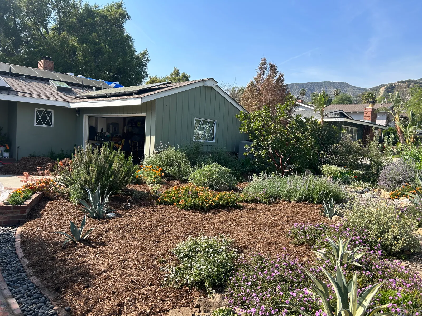 Drought-tolerant landscaping with native plants