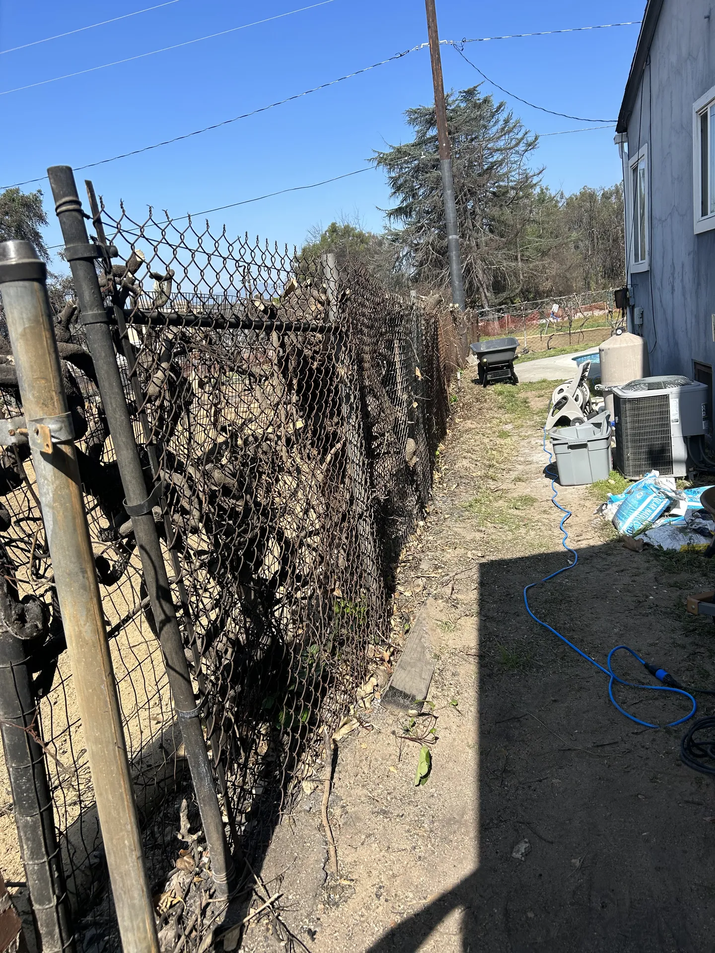Overgrown collapsed chain link fence before replacement