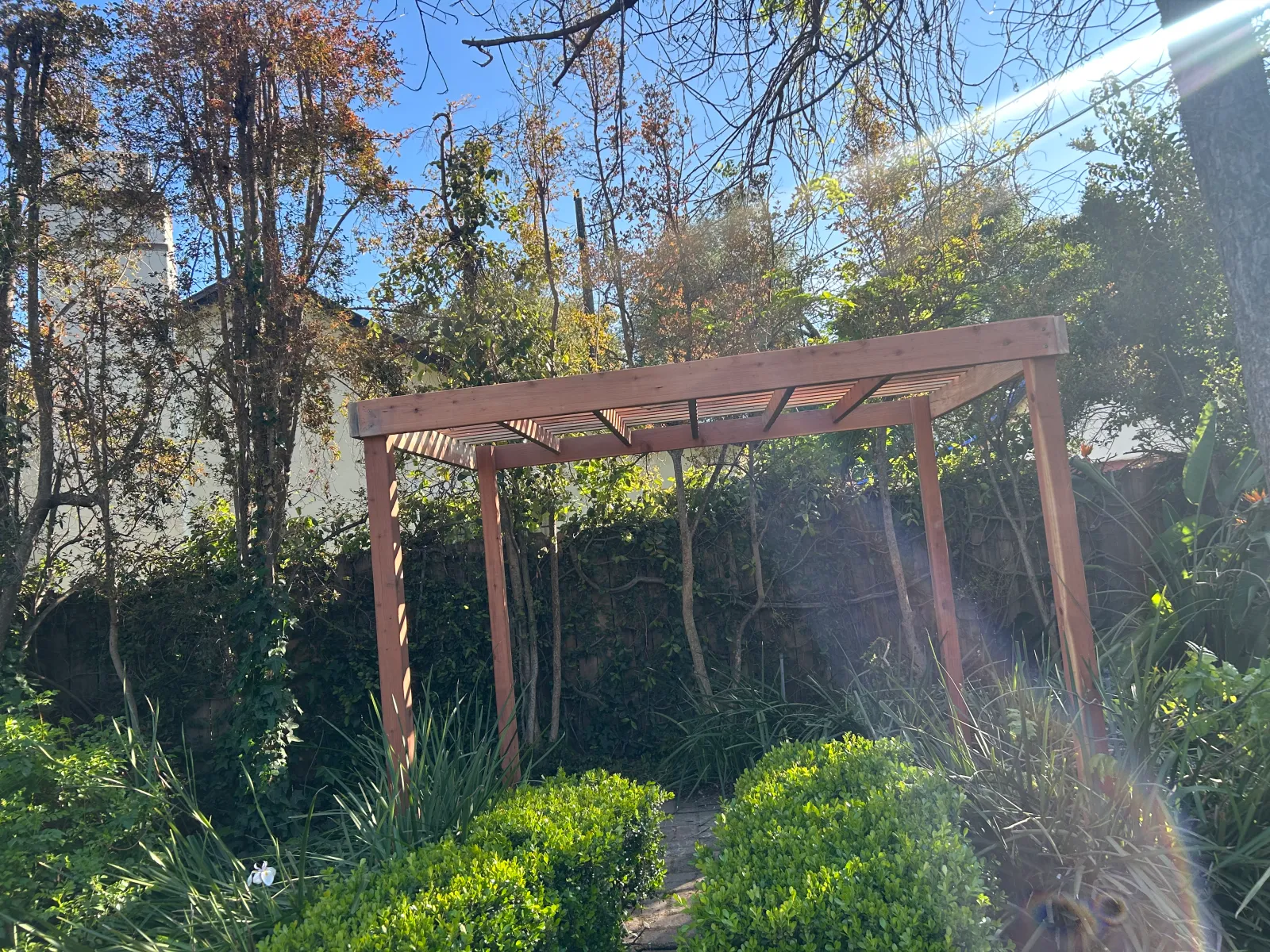 New cedar pergola structure in landscaped garden