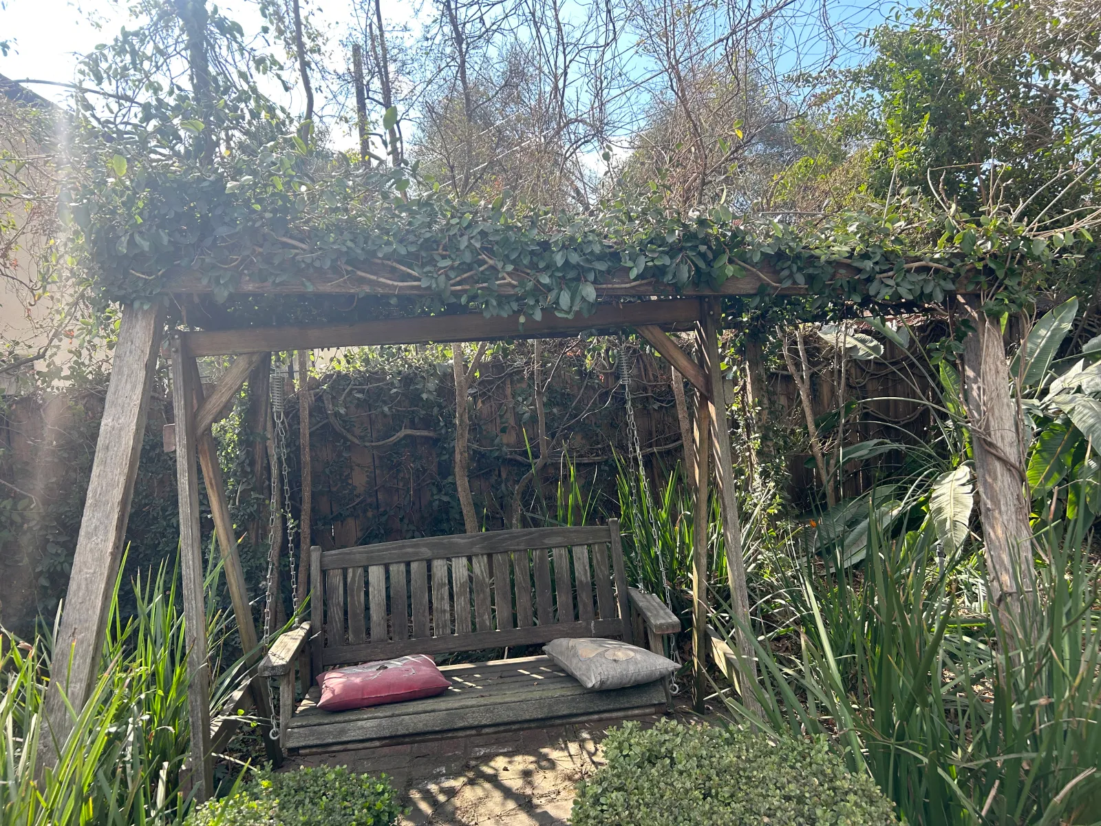 Weathered garden arbor swing in overgrown yard